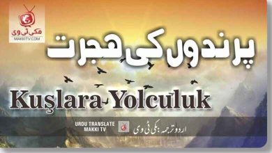 Kuslarla Yolculuk Episode 7 In Urdu Subtitles