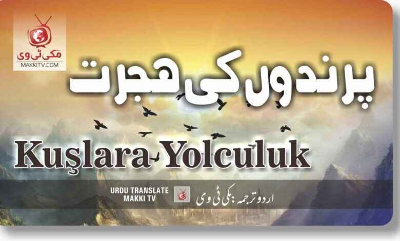 Kuslarla Yolculuk Episode 7 In Urdu Subtitles